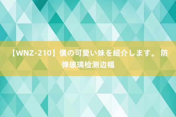 【WNZ-210】僕の可愛い妹を紹介します。 防弹玻璃检测边幅