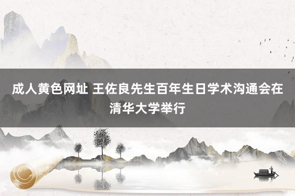 成人黄色网址 王佐良先生百年生日学术沟通会在清华大学举行
