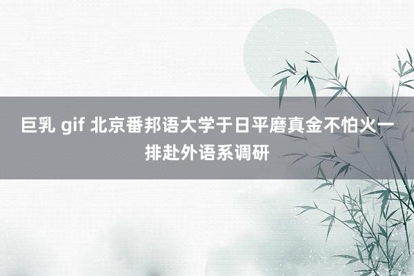 巨乳 gif 北京番邦语大学于日平磨真金不怕火一排赴外语系调研
