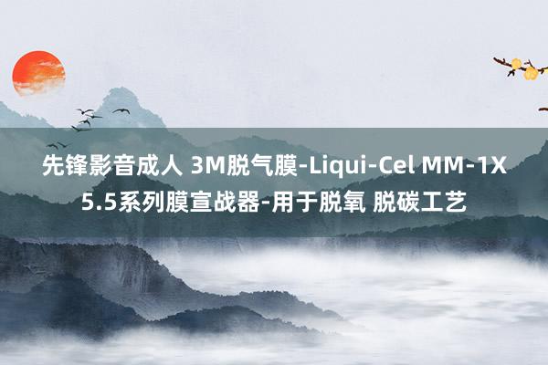 先锋影音成人 3M脱气膜-Liqui-Cel MM-1X5.5系列膜宣战器-用于脱氧 脱碳工艺
