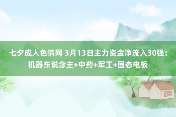七夕成人色情网 3月13日主力资金净流入30强：机器东说念主+中药+军工+固态电板
