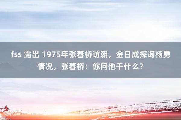 fss 露出 1975年张春桥访朝，金日成探询杨勇情况，张春桥：你问他干什么？