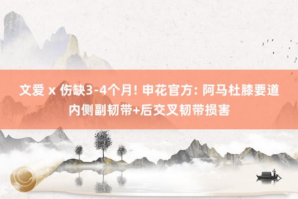 文爱 x 伤缺3-4个月! 申花官方: 阿马杜膝要道内侧副韧带+后交叉韧带损害
