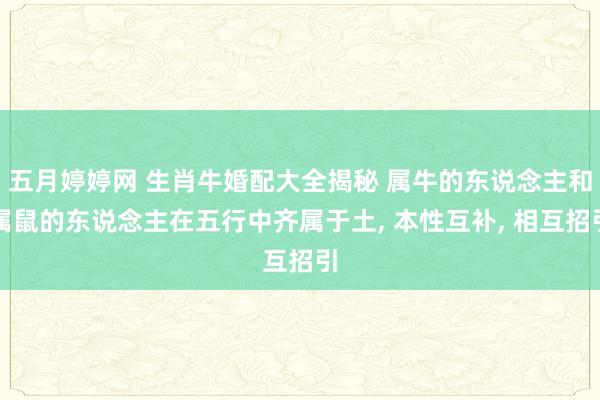 五月婷婷网 生肖牛婚配大全揭秘 属牛的东说念主和属鼠的东说念主在五行中齐属于土, 本性互补, 相互招引