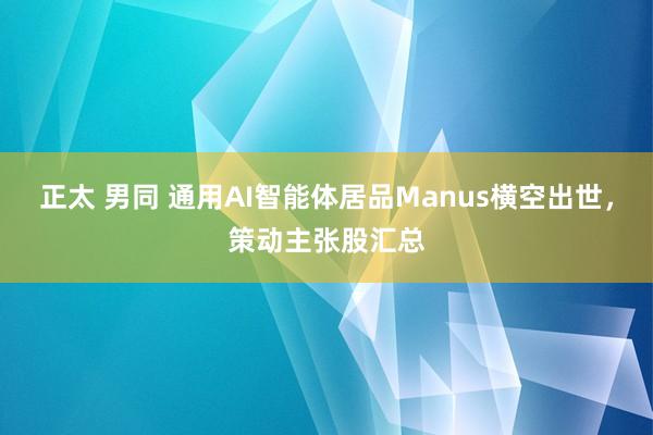 正太 男同 通用AI智能体居品Manus横空出世，策动主张股汇总