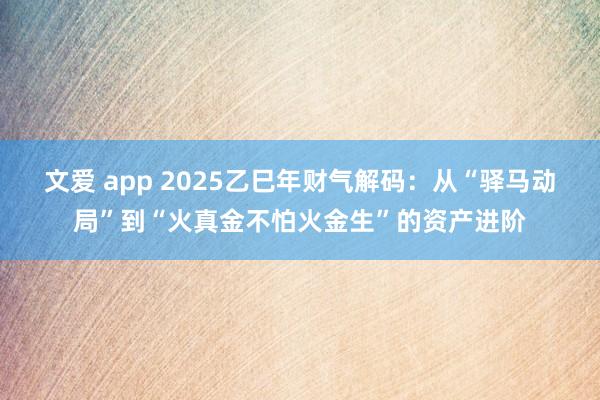 文爱 app 2025乙巳年财气解码：从“驿马动局”到“火真金不怕火金生”的资产进阶