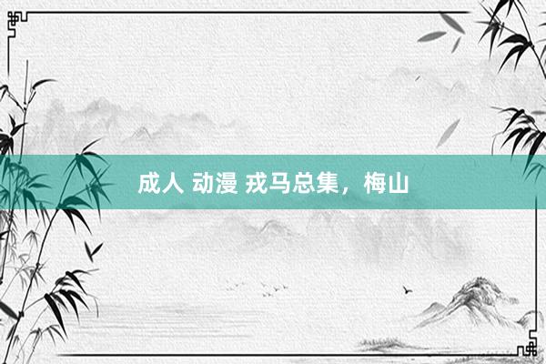 成人 动漫 戎马总集，梅山