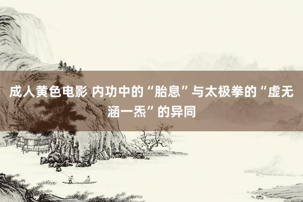 成人黄色电影 内功中的“胎息”与太极拳的“虚无涵一炁”的异同