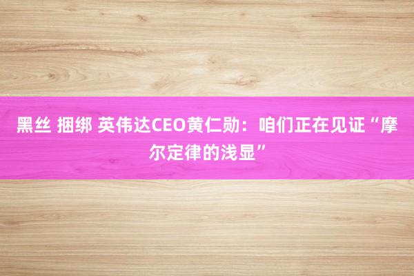 黑丝 捆绑 英伟达CEO黄仁勋：咱们正在见证“摩尔定律的浅显”