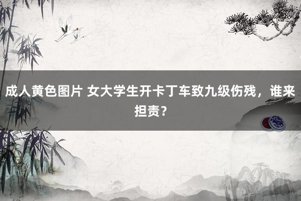 成人黄色图片 女大学生开卡丁车致九级伤残，谁来担责？